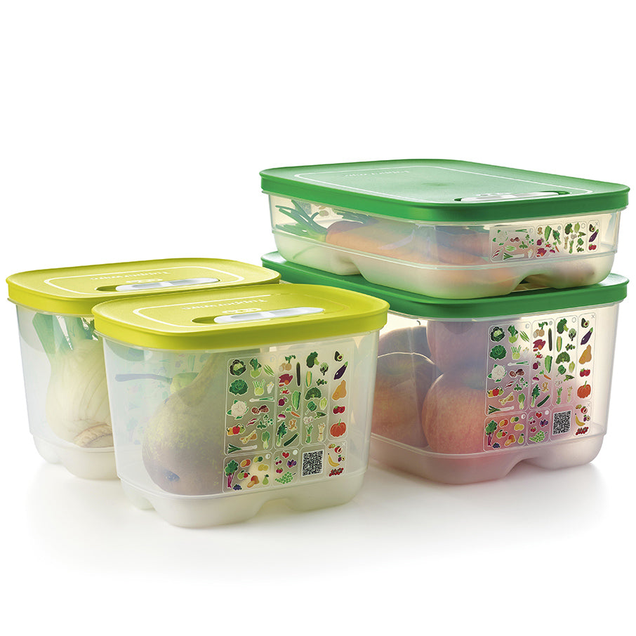 fridgesmart 4-częściowy zestaw startowy margarita mała głęboka winter green średnia średnio głęboka