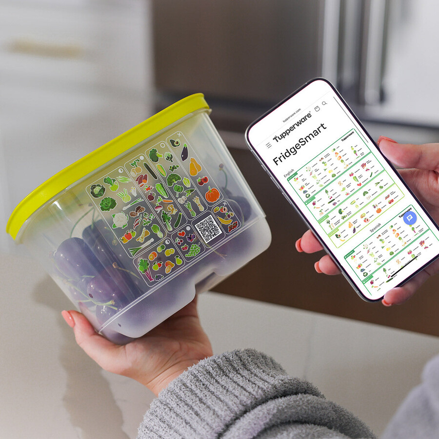 fridgesmart 4-częściowy zestaw startowy margarita mała głęboka winter green średnia średnio głęboka