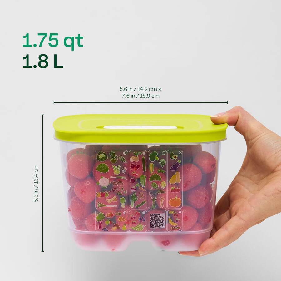 fridgesmart 4-częściowy zestaw startowy margarita mała głęboka winter green średnia średnio głęboka