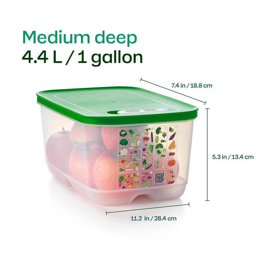 fridgesmart 4-częściowy zestaw startowy margarita mała głęboka winter green średnia średnio głęboka
