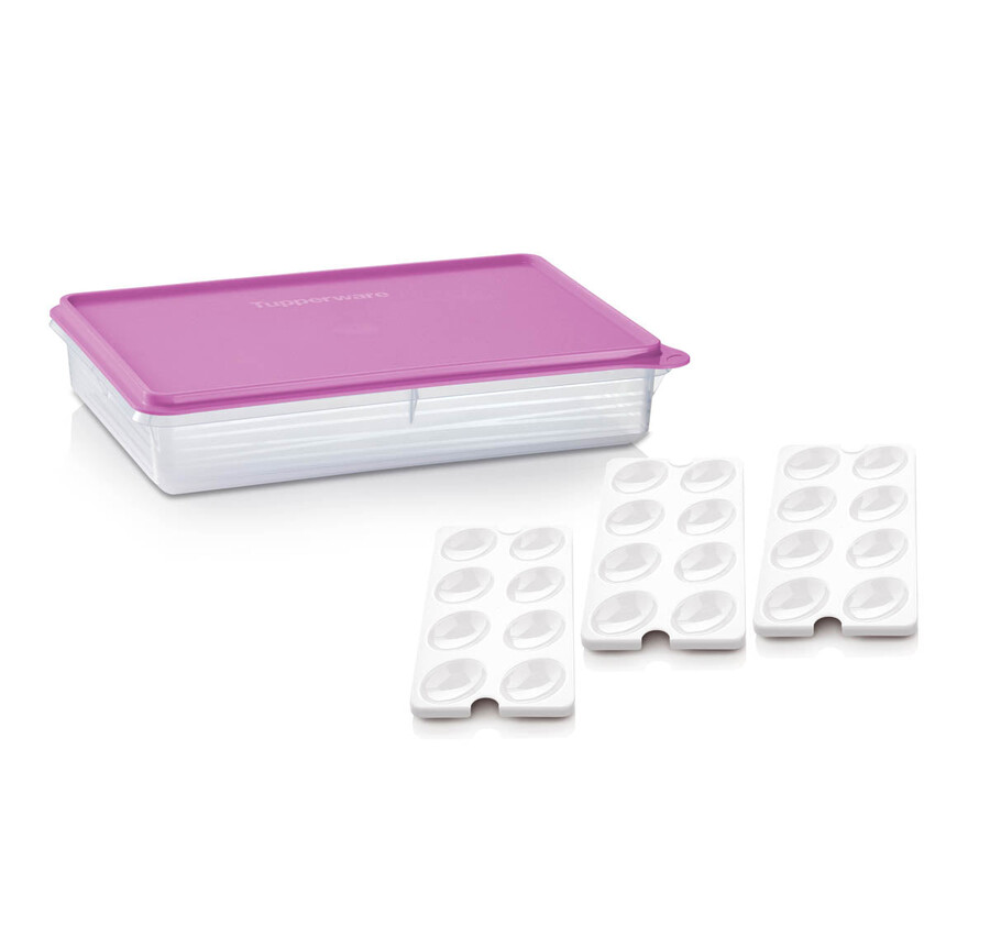 duży pojemnik tupperware snack-stor z wkładką na 3 jajka morwa dzika