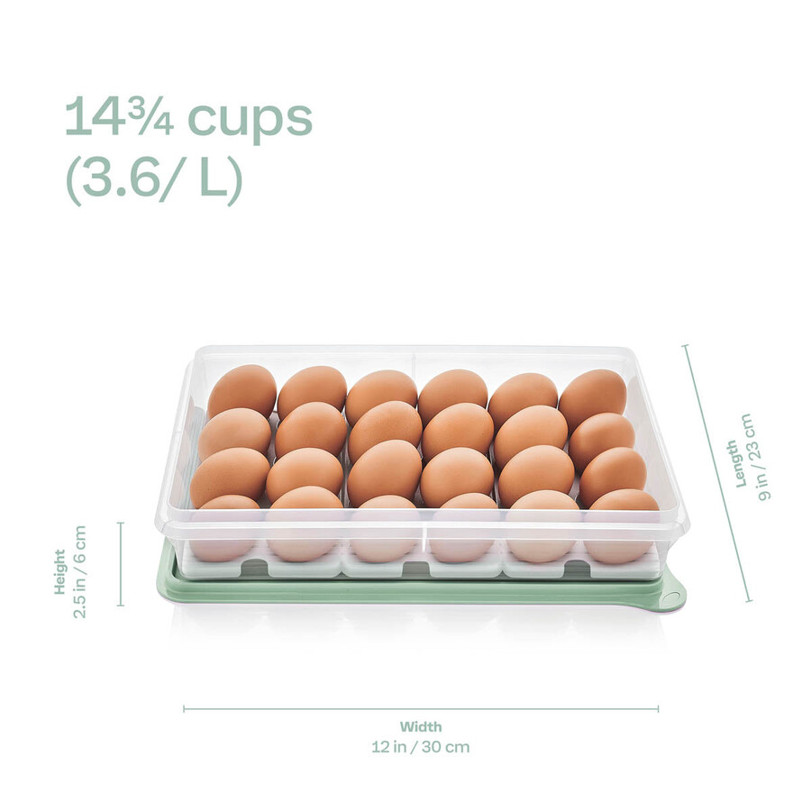 duży pojemnik tupperware snack-stor z wkładką na 3 jajka morwa dzika