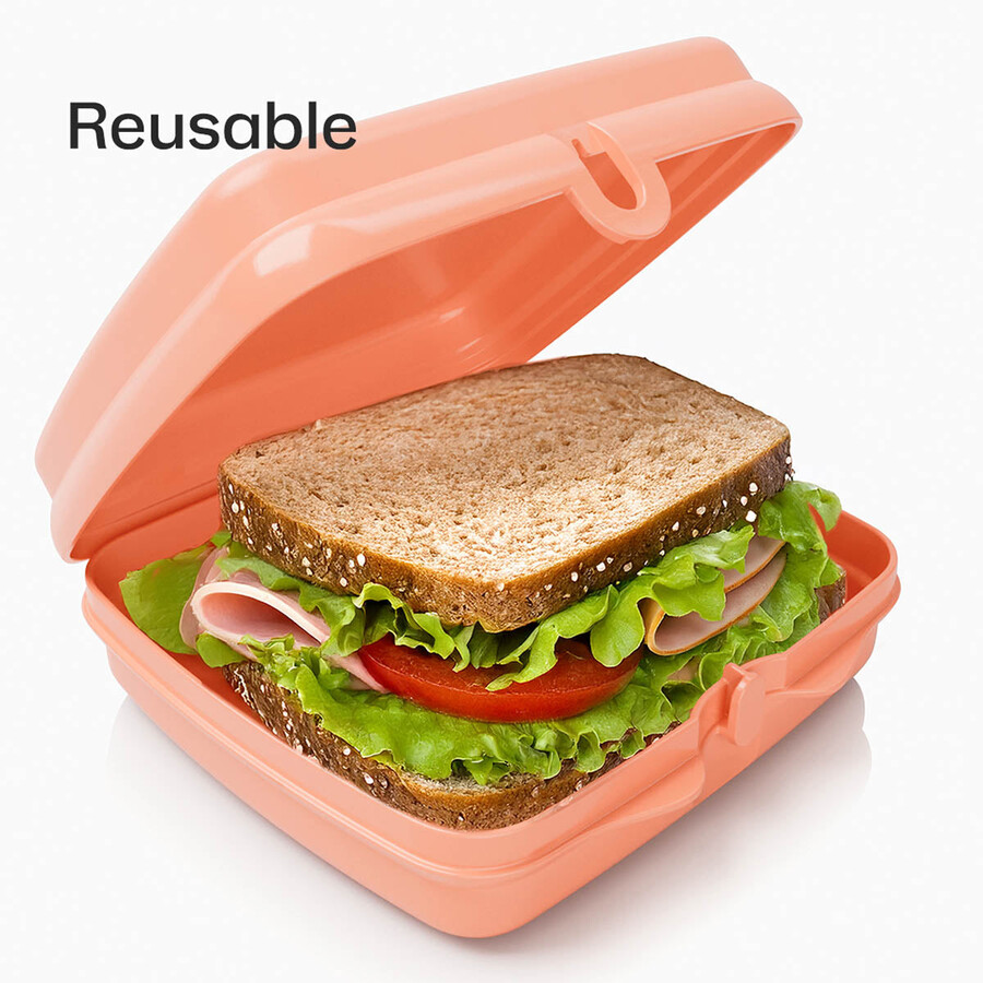pojemniki na kanapki tupperware – 2 łatwe do otwarcia pudełka na lunch dla dzieci